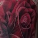 Tattoos - Roses Cover up In Progress - 52368